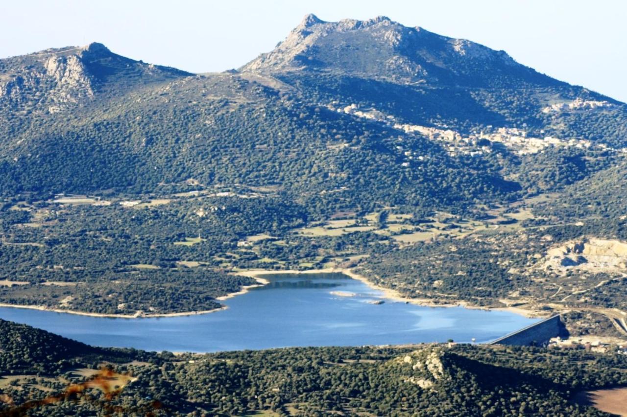 Vacancorse Maison U Canale Speloncato  Esterno foto