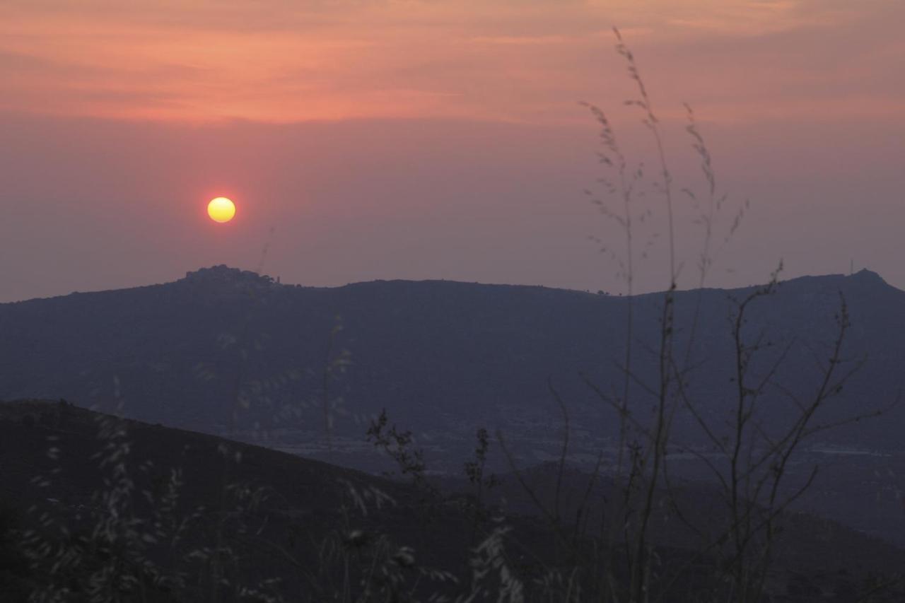 Vacancorse Maison U Canale Speloncato  Esterno foto